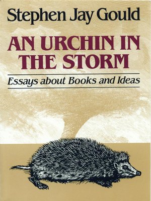 cover image of An Urchin in the Storm